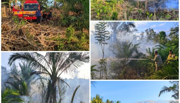 Satu Hektar Karhutla di Desa Watumerembe Dilalap Si Jago Merah