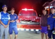 Damkarmat Konsel Berhasil Evakuasi Seekor Buaya di Desa Anese