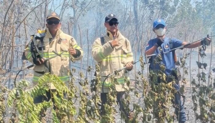 Karhutla Meningkat, Damkarmat Konsel Catat 29 Kasus Karhutla dan 6 Kasus Kebakaran Rumah Sepanjang Juli-September 2026