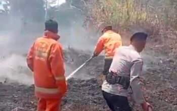 Damkarmat Konsel Dibantu Brimob Polda Sultra Berhasil Padamkan Dua Hektar Karhutla di Desa Puosu Jaya