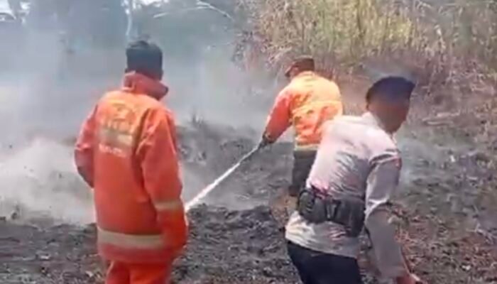 Damkarmat Konsel Dibantu Brimob Polda Sultra Berhasil Padamkan Dua Hektar Karhutla di Desa Puosu Jaya