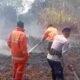 Damkarmat Konsel Dibantu Brimob Polda Sultra Berhasil Padamkan Dua Hektar Karhutla di Desa Puosu Jaya