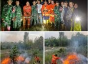 Nyaris Setiap Hari Karhutla Melanda Konawe Selatan, Damkarmat Terus Bekerja Ekstra Upaya Pemadaman