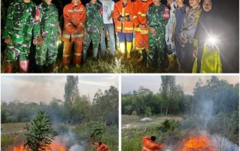 Nyaris Setiap Hari Karhutla Melanda Konawe Selatan, Damkarmat Terus Bekerja Ekstra Upaya Pemadaman