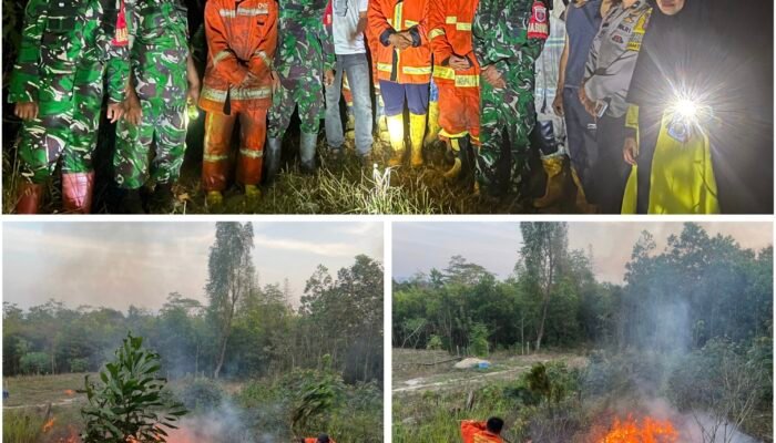 Nyaris Setiap Hari Karhutla Melanda Konawe Selatan, Damkarmat Terus Bekerja Ekstra Upaya Pemadaman