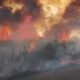 Dua Hektar Lahan Tebu di Konsel Hangus Terbakar, Damkarmat Berhasil Putuskan Penjalaran Api