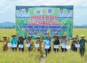 Konsisten Jaga Ketahanan Pangan di Tengah Tantangan Kekeringan, Pemda Konsel Gelar Panen Raya di Basala