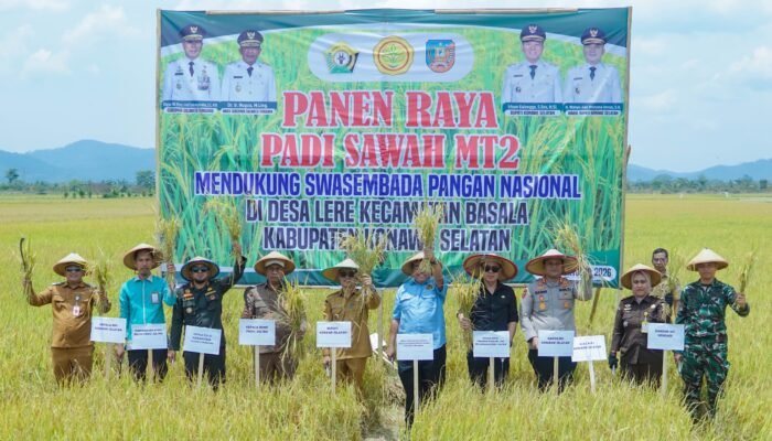 Konsisten Jaga Ketahanan Pangan di Tengah Tantangan Kekeringan, Pemda Konsel Gelar Panen Raya di Basala