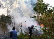 Sepekan, Damkarmat Konsel Terima 8 Kasus Karhutla, Saifuddin Suhri : Personel Terus Siaga Upaya Pemadaman dan Pemutusan Penjalaran Api