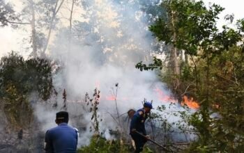 Sepekan, Damkarmat Konsel Terima 8 Kasus Karhutla, Saifuddin Suhri : Personel Terus Siaga Upaya Pemadaman dan Pemutusan Penjalaran Api