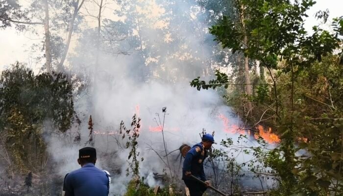 Sepekan, Damkarmat Konsel Terima 8 Kasus Karhutla, Saifuddin Suhri : Personel Terus Siaga Upaya Pemadaman dan Pemutusan Penjalaran Api