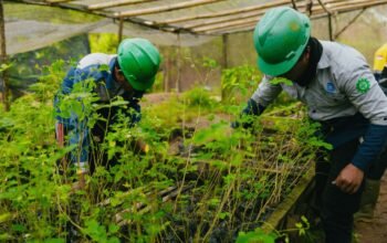 PT Ifishdeco T.bk Luruskan Tuduhan Perusakan Kawasan Hutan Lindung Mangrove, Corporate Secretary : Perusahaan Kantongi Izin PPKH untuk Area Penunjang