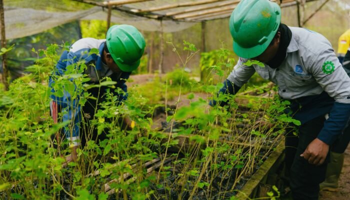 PT Ifishdeco T.bk Luruskan Tuduhan Perusakan Kawasan Hutan Lindung Mangrove, Corporate Secretary : Perusahaan Kantongi Izin PPKH untuk Area Penunjang