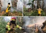 Karhutla Kian Merebak, Damkarmat Konsel Terus Bergerak