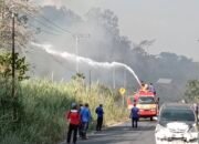 Damkarmat Konsel Atasi Penjalaran Api di 10 Lokasi Karhutla yang Melanda 30 Hektar Lahan