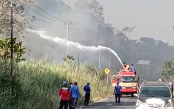 Damkarmat Konsel Atasi Penjalaran Api di 10 Lokasi Karhutla yang Melanda 30 Hektar Lahan