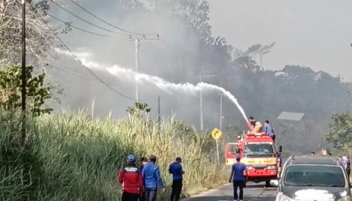 Damkarmat Konsel Atasi Penjalaran Api di 10 Lokasi Karhutla yang Melanda 30 Hektar Lahan