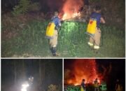Damkarmat Catat Sepanjang Juli-Oktober 133 Kasus Karhutla Landa 280 Hektar Lahan di Konsel, Personel Dipastikan Tetap Siaga