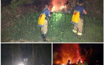 Damkarmat Catat Sepanjang Juli-Oktober 133 Kasus Karhutla Landa 280 Hektar Lahan di Konsel, Personel Dipastikan Tetap Siaga