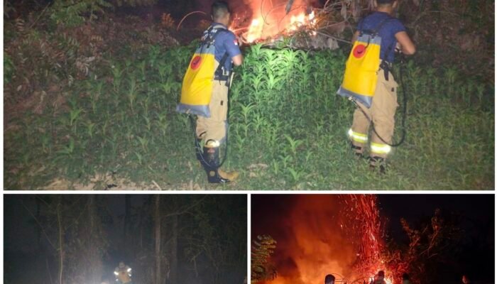 Damkarmat Catat Sepanjang Juli-Oktober 133 Kasus Karhutla Landa 280 Hektar Lahan di Konsel, Personel Dipastikan Tetap Siaga